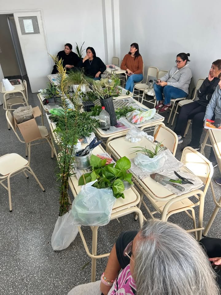 Curso de Especies Ornamentales
